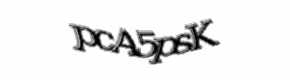 Security check image, please type the characters shown